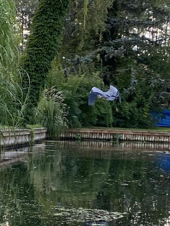 Holzhaus Mit Direktem Wasserzugang In Berlin-koepenick * Berlim
